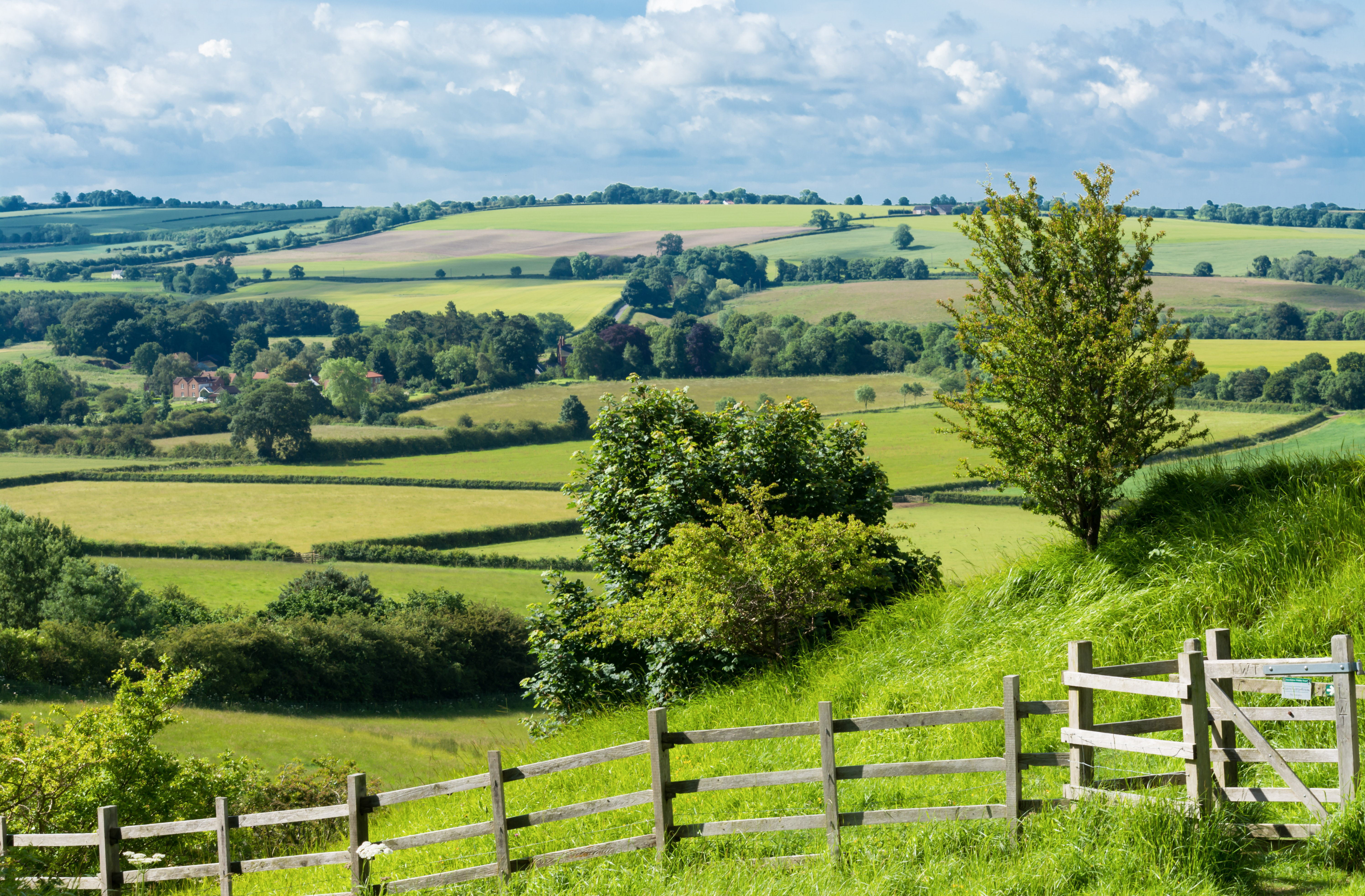 countryside