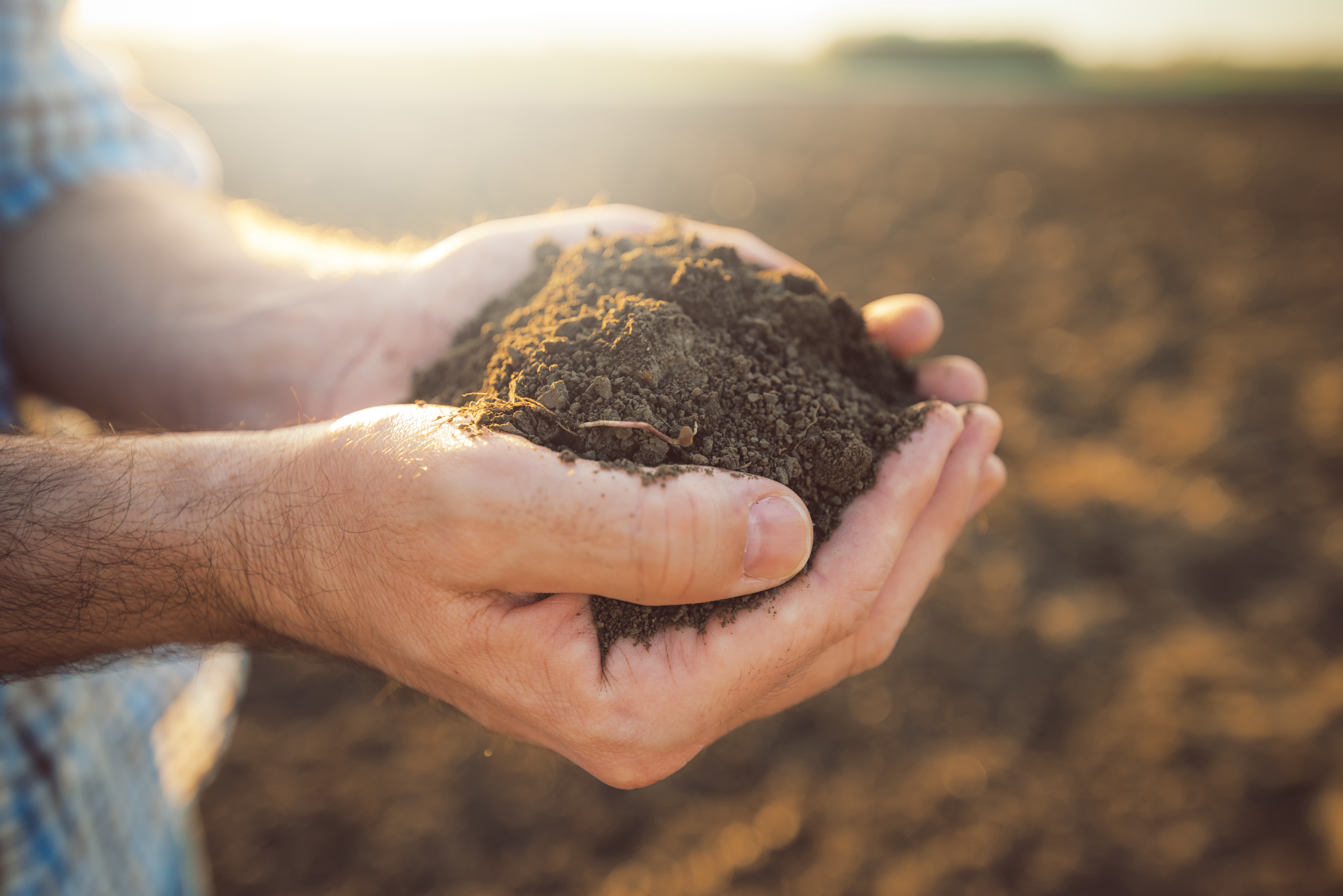 soil handful