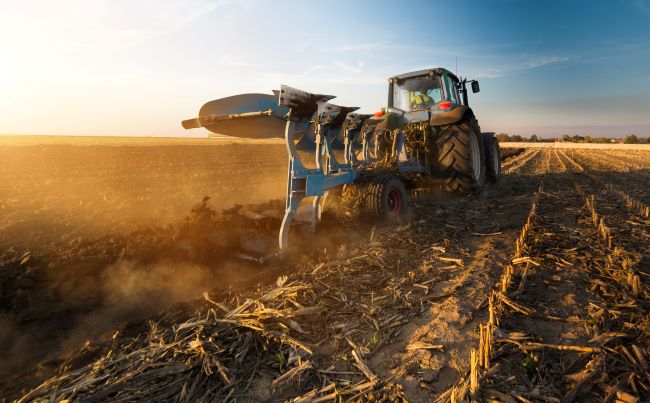 ploughing