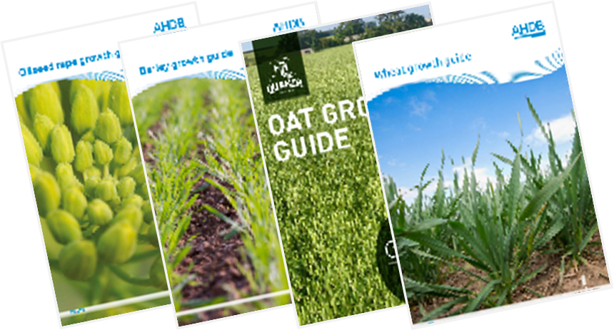 AHDB Guides