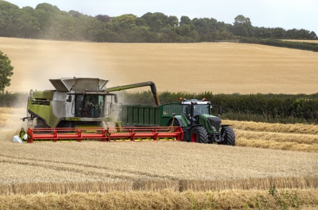 combine harvester wheat