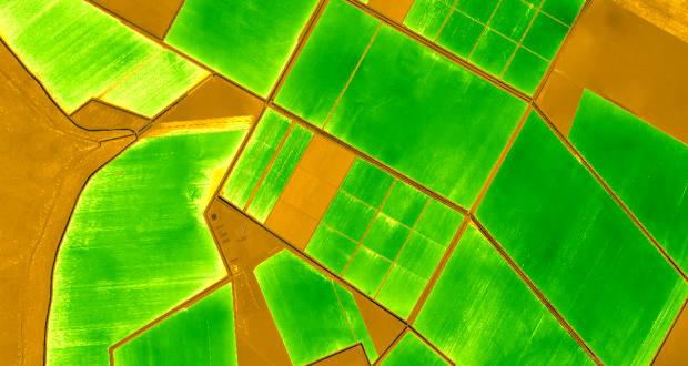 NDVI map