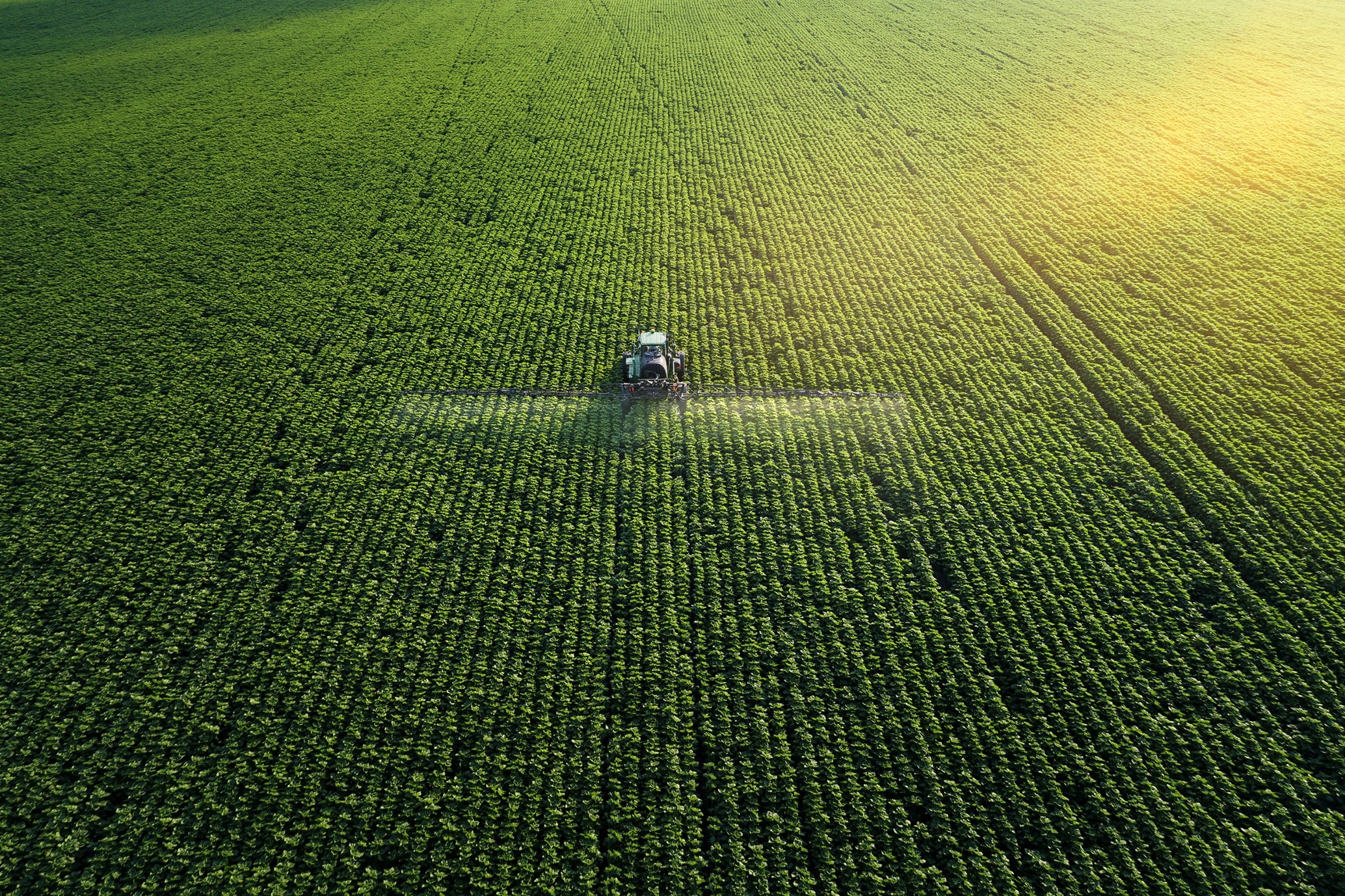 Field being sprayed