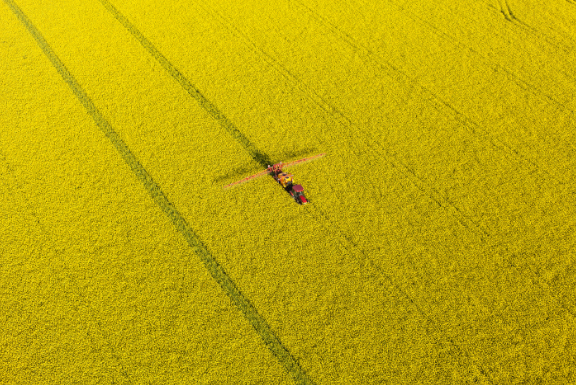 OSR aerial