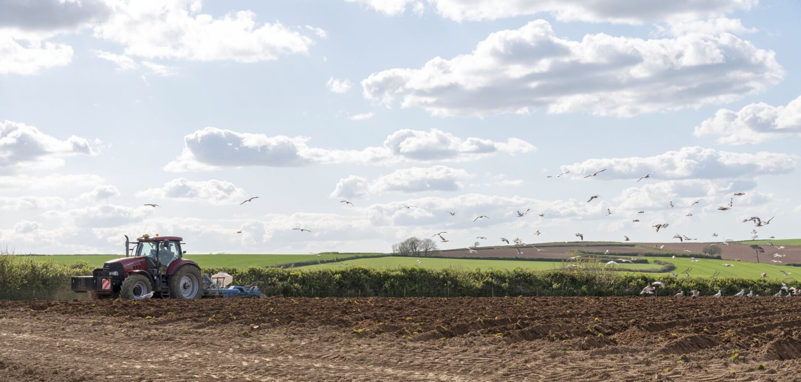 Tractor cultivating a field