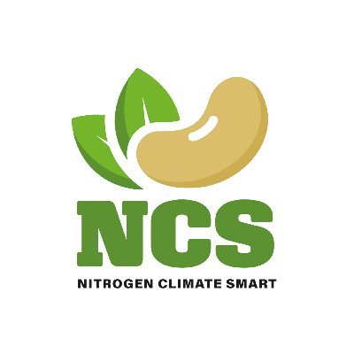 NCS Logo