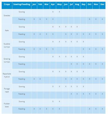 AHDB Brassicas Sewing and Feeding Dates