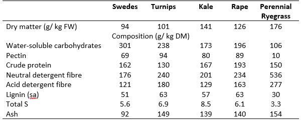 Nutritional Composition