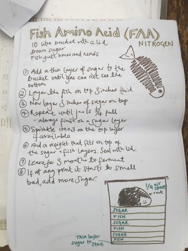 Emma's recipe for fish amino acid supplement (credit: Emma Restorick)