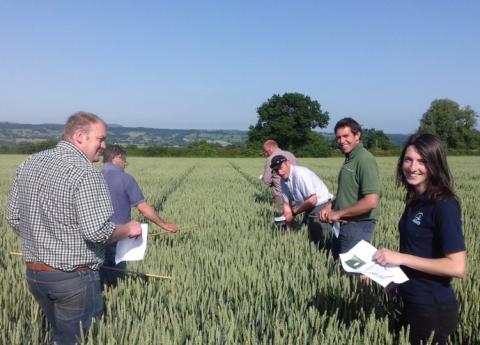 Entrants visit the trial in Herefordshire in 2019