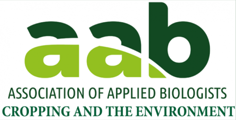 AAB logo