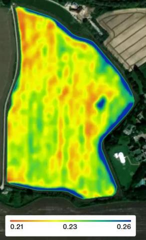 August NDVI, with Utrisha N tramline showing as greener.