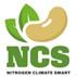 NCS Logo