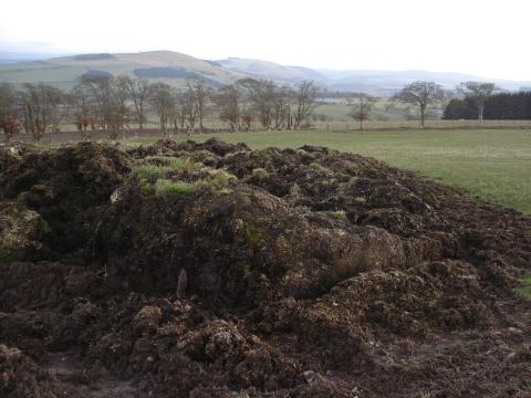 Manure heap in Scotland