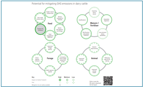 Dairy GHG Emissions Factsheet