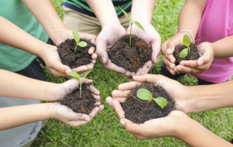 Learning about soil