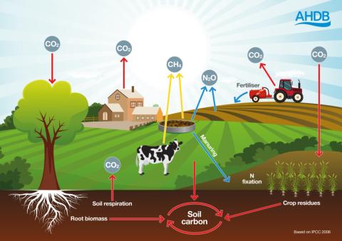 AHDB Net Zero Graphic