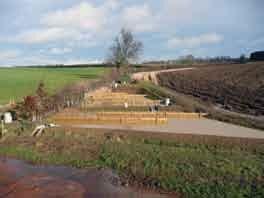 Constructed Wetland at field corner