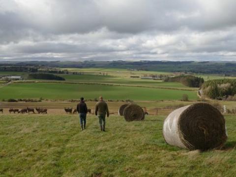 Photo: Angus Birditt, Pasture for life