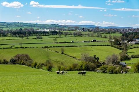 Rural Landscape