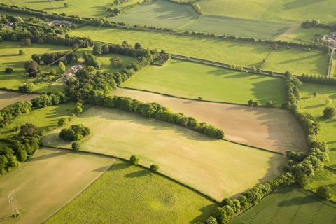 IPM NET aerial view fields