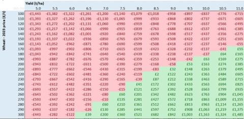 Crop net margin sensitivity analysis tool