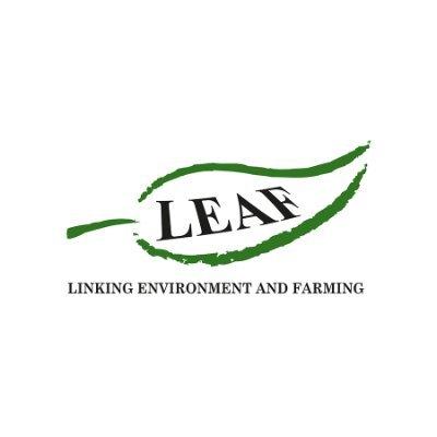 LEAF Logo