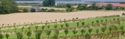 Agroforestry 