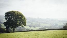 Farm Landscape