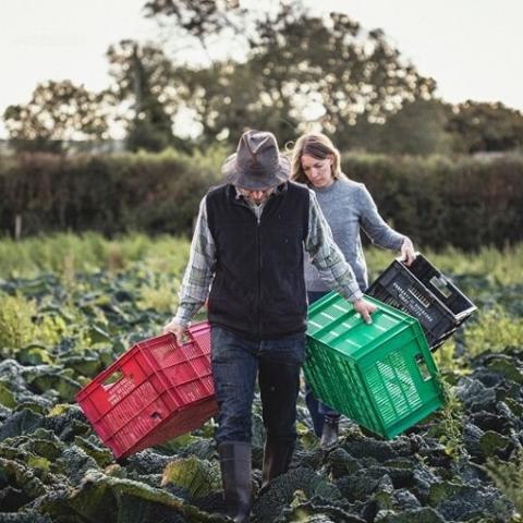 Horticulturalists