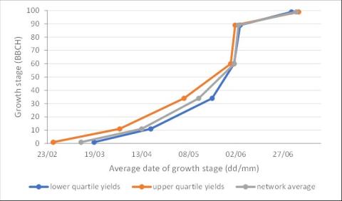 Graph of bean growth stages through time