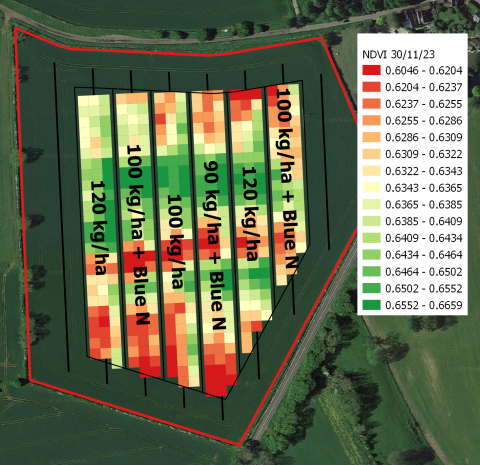 CNC23 beet NDVI map