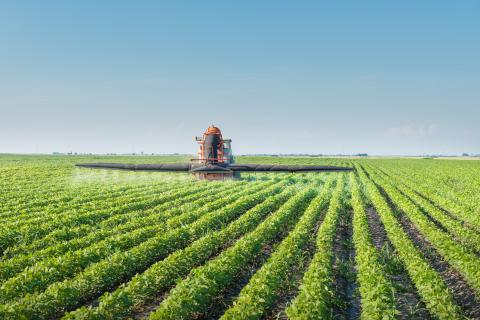 Tractor spraying field