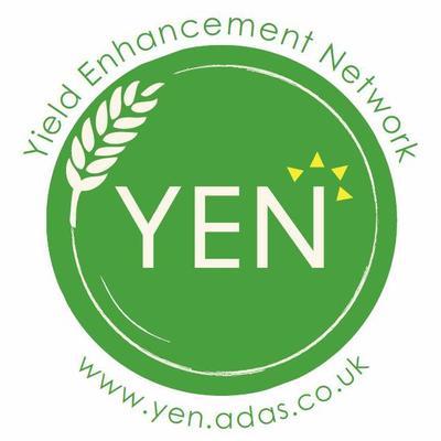 YEN Logo