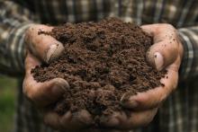 Soil in hands