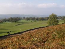 Countryside Landscape