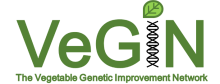 VeGIN logo