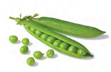 Peas