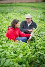 Farmers and their cover crop