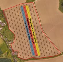 Clover trial field map