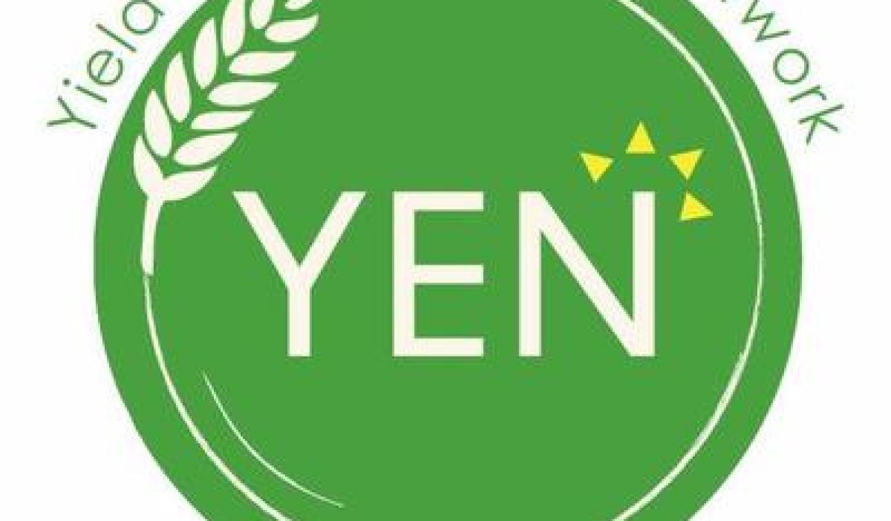 YEN Logo