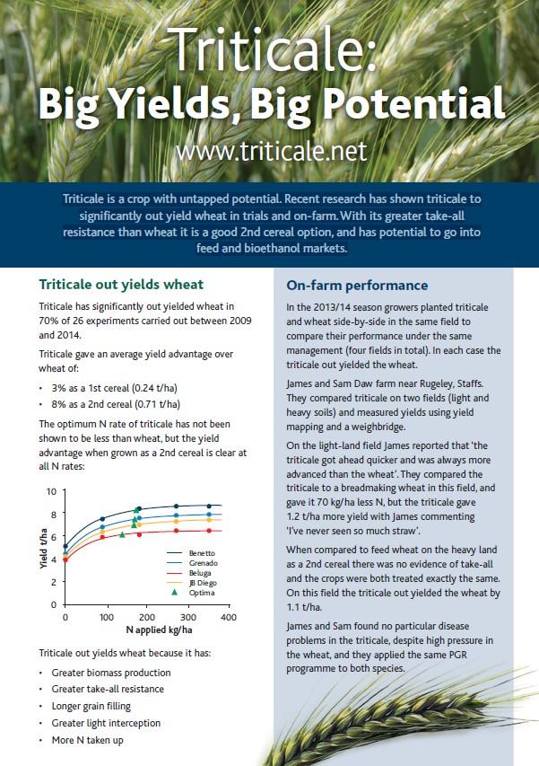 triticale leaflet preview