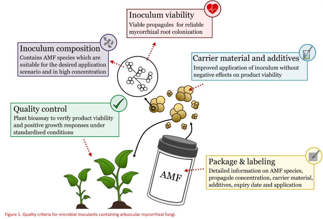 Proposed Framework for AMF inoculum preparation