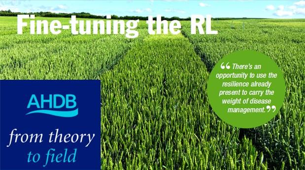 From Theory to Field – Fine-tuning the RL