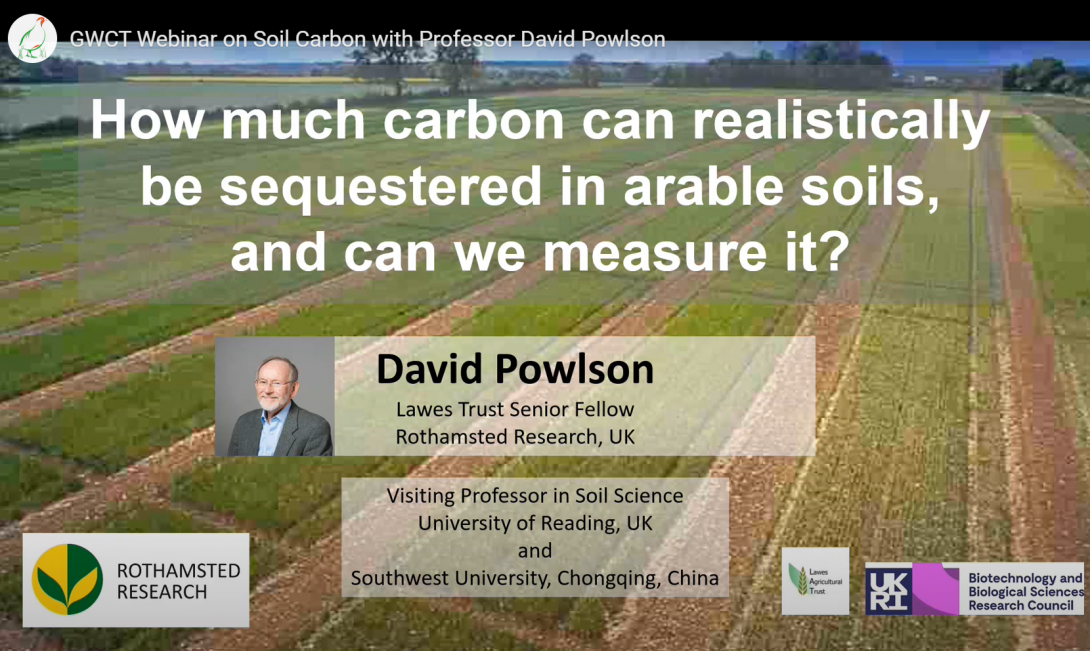 screenshot of GWCT webinar with David Powlson